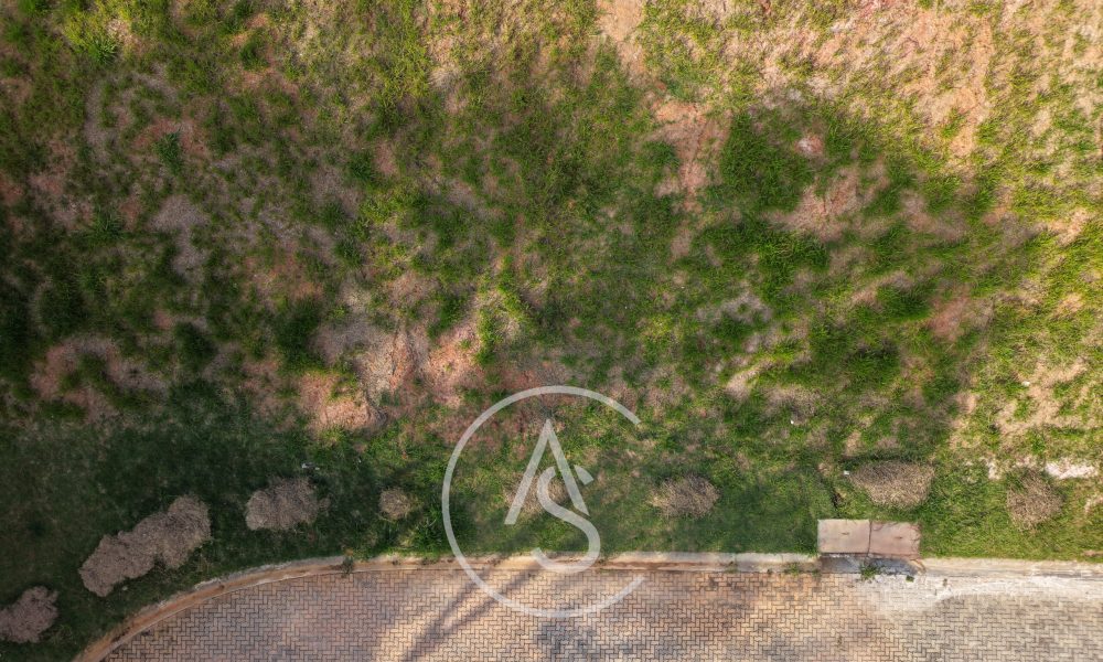 DJI_20260305162726_0255_D
